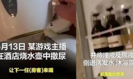 酒店洗头膏爆料视频播放,从爆料视频看酒店用品真相