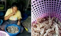 剔骨鸡爪爆料视频,视频爆料背后的真相