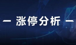 最新经济爆料消息今天,今日最新爆料揭示市场动态与趋势