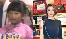 妹妹节目爆料视频大全下载,揭秘幕后故事与精彩瞬间
