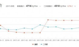 大同团队爆料最新消息,最新动态揭秘，不容错过的重大信息