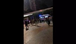 深圳女士爆料微博视频,揭秘某事件背后真相