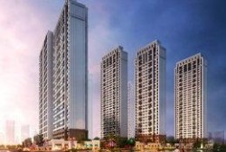 中海爆料最新消息今天视频,今日视频揭秘惊人内幕