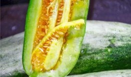 吃网红的瓜在哪里可以看,全网热议的“吃网红瓜”热门平台大盘点