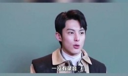 王鹤棣爆料群演视频,揭秘影视行业群演生存现状
