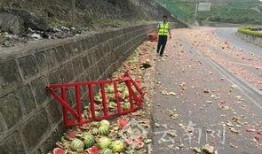 成县吃瓜网红事件,网络舆论的风暴与反思