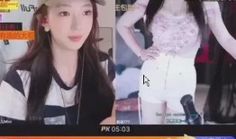 退游爆料主播是谁呀视频,揭秘背后神秘主播身份