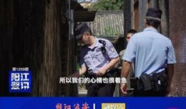 阳江今日头条爆料,揭秘阳江最新热点事件！