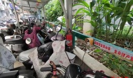 福建电动车事件最新爆料,真相再起波澜，事故原因揭秘