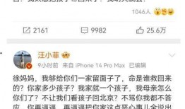 汪小菲发文爆料视频,揭秘背后惊人真相