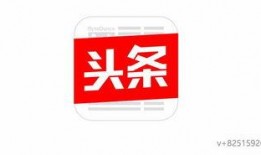 今日头条山东爆料视频大全,聚焦民生热点，揭示社会现象