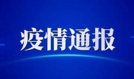 泉州厦门最新爆料,双城动态聚焦，热点事件盘点
