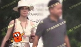 刘大锤爆料王兰之子视频,王兰之子神秘视频引发热议