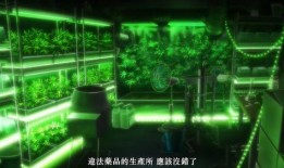 池袋爆料原视频,揭秘原视频背后的惊人真相
