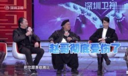 综艺大爆料赵正平视频,赵正平视频揭秘幕后故事