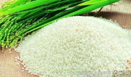 绿色大米爆料方法视频大全,视频大全解析