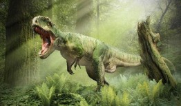赣县恐龙化石爆料事件视频,揭秘史前生物之谜