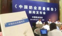 奶企高管爆料新闻报道,揭开行业黑幕的内幕披露