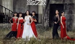 淑女之家在线观看,穿越时空的优雅邂逅