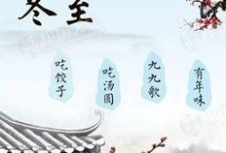 冬至餐饮视频爆料大全,揭秘各大餐饮品牌独家爆料大全