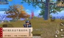 和平小镇爆料视频最新版,揭秘小镇发展背后的故事与奇迹