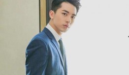 娱乐圈八卦爆料王源,娱乐圈八卦风云中的青春偶像