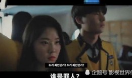 真言夫妇爆料视频在线观看,揭秘娱乐圈背后的惊人真相