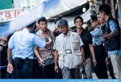 踏血寻梅手机在线观看,惊悚悬疑，探寻真相的惊心动魄之旅