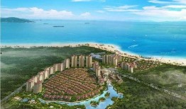 海南碧桂园爆料事件视频,揭露背后的惊人真相