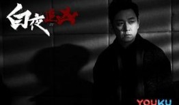 白夜追凶免费在线观看,揭秘黑白两道，正义与邪恶的较量