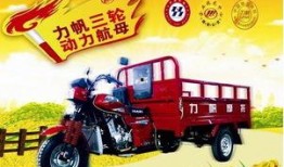 重庆三轮车爆料视频最新,街头冲突一触即发，真相背后引热议