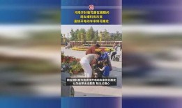 开封网民爆料最新,揭秘当地最新事件真相