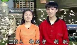新疆主持人爆料新闻视频,揭秘新闻背后的真相