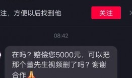董先生真实爆料视频播放,揭秘视频背后的惊人真相