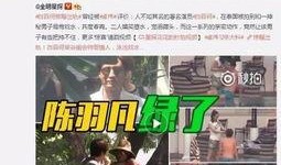 张颖爆料出轨视频大全最新,揭秘娱乐圈新恋情疑云