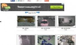 俄国最新爆料视频下载,深度解析事件背后真相