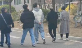 成县吃瓜网红事件,网络舆论的风暴与反思