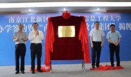亨力集团最新爆料消息,揭秘企业转型背后的秘密与挑战