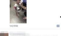 滑县爆料录音事件最新,真相与争议的交织