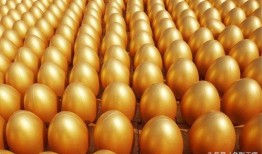 金蛋在线观看,探索虚拟世界的无限魅力