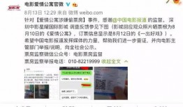 偷票房员工爆料视频大全,员工爆料视频大全深度解析