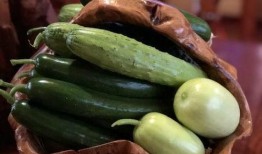 吃网红的瓜在哪里可以看,全网热议的“吃网红瓜”热门平台大盘点