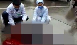 福建电动车事件最新爆料,真相再起波澜，事故原因揭秘