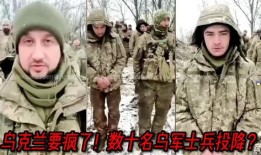 俄国最新爆料视频下载,深度解析事件背后真相