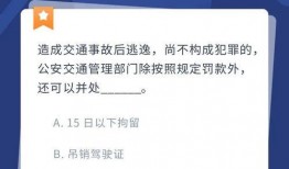 什么是爆料视频违法行为,法律红线不容触碰