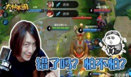 张大仙国服爆料视频下载,揭秘游戏内幕与精彩瞬间