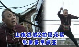 山炮进城2在线观看,城市生活新体验！