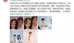 爆料小花分手视频播放,播放量惊人揭秘分手真相