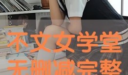 在线观看不文女学堂,网络热门视频背后的故事与启示