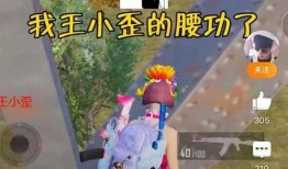 和平精英爆料王小歪视频,揭秘游戏新玩法与精彩瞬间